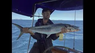 SV&sup2; I Episode 8 I Orpheus Island + Hinchenbrook