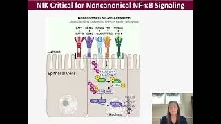 1010 Morrison Poster Teaser Video ISSCR 2023