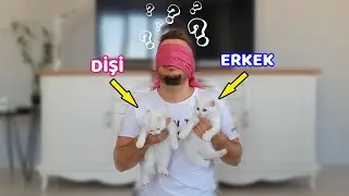 G&Ouml;ZLERİMİZİ KAPATIP KEDİLERİMİZİ BİLMEYE &Ccedil;ALIŞTIK (Kedi Maması Yeme Cezalı Oyun)