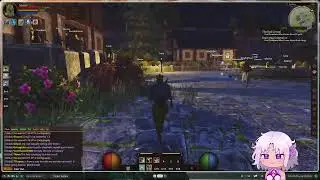 Morning Stream
