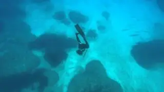 Spearfishing Ithaca 2014