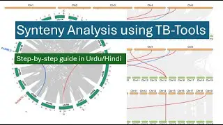 What Does Synteny Analysis Reveal? A TBtools Tutorial You Can&rsquo;t Miss!