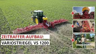Dammkultur-Ackerbohne striegeln mit APV Variostriegel VS 1200 + PS 300 bei Günther Brunhofer
