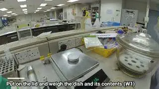 Laboratory Practical: Determination of Moisture Content using Oven Drying Method