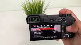Cara setting Foto File Raw di sony a6000 a6400
