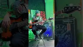 Yamaha BB434 vs. Ibanez SR1100B 🎶 which one do you choose? @bassplayeruniverse