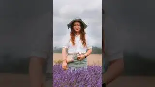 Lavender Farm shoot be like :)   #photoediting #lavender #lavenderfarm #photography #photographer