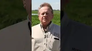 Wetland Restoration in Southeastern Minnesota 2 #wetlands#waterquality#waterfowl#wetlandrestoration