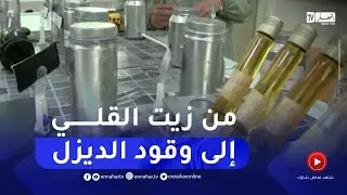 دراسة تمكن من تحويل زيوت القلي المستعملة إلى وقود حيوي بسكيكدة