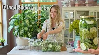 Inlagd Smörgåsgurka - Skördetider | Baka med Frida