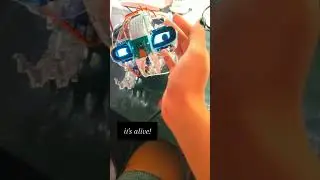 it's alive!! ✨️ #artandtech #programming #computervision #robotics #stem #electronics #raspberrypi