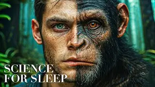 Science For Sleep | Evolution: Why Monkeys Don't Evolve Into Humans