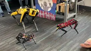 Makech - Second Generation Quadruped Robot