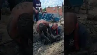Firefighters Rescue Puppy Stuck in Mud-filled Drainage Pipe