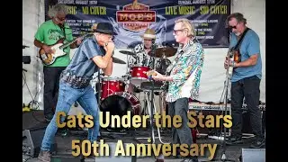 Cats at 50   720p PT 4