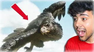 Taming an ARGENTAVIS - Ark Survival Evolved - PART 6