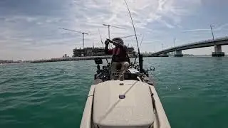 Dubai Kayaking Hammour Trevaly 3 March 2024