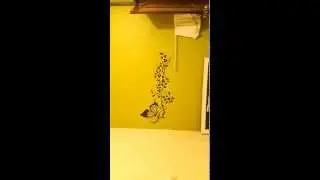 Large Tribal butterfly wall sticker (wall sticker applied in maldives by UK)