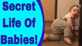 Secret Life Of Babies! | Day 78 | FamilyExclusive UK
