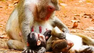 Congratulations! mom Jane gave birth adorable Newborn Jazzy.