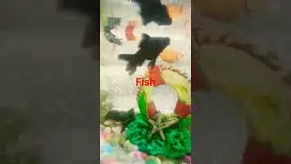 ding dong fish update 2!