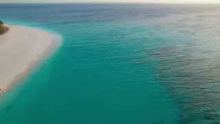 Ocean island