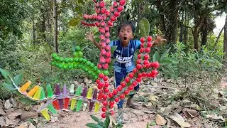 Survival Skills:SIMPLE and Idea in forest #skills #outdoors #shorts #bushcraft #camping #survival