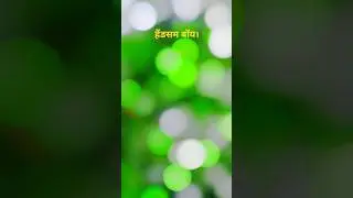 #trending #vlog हॉट वीडियो trending music 🎶 like subscribe