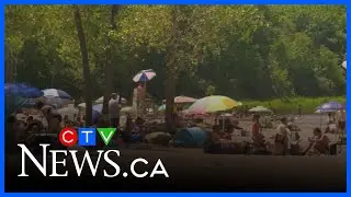 Heat waves to become the norm in Quebec