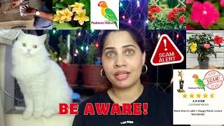 Padmam Nursery Fraud ALERT! Online Nursery Scam EXPOSED. Be Aware!