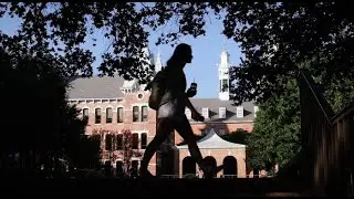Baylor's 
