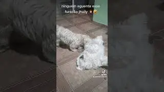 @furac&atilde;o jhully