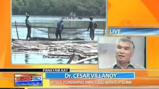 News to Go - Marine experts say fish kills caused by human activity 6/8/11