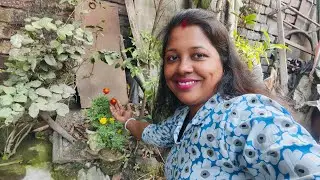 তোমরা কেমন আছো বন্ধুরা চলে এসো লাইভে নতুন বছরে