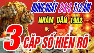 Nh&acirc;m Dần 1962: Đ&uacute;ng m&ugrave;ng 2 v&agrave; m&ugrave;ng 3 th&aacute;ng 12 &acirc;m lịch, 3 cặp số v&agrave;ng bất ngờ xuất hiện