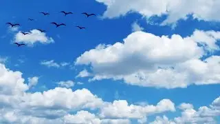 ​🌸​Mar da Tranquilidade M&uacute;sica relaxante e Calma *Sea of ​​Tranquility Relaxing and Calm Music​🌸​