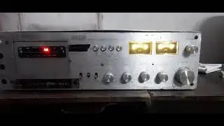 4040s ahuja