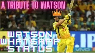 Watson Whatsapp Status 😎 | A Tribute To Watson 🔥 | SJF |