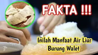 MANFAAT AIR LIUR WALET
