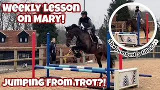 TEACHING MY YOUNG HORSE TO JUMP FROM TROT… - Lesson with Mary!