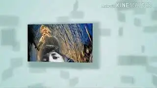 Ashok, senvideos