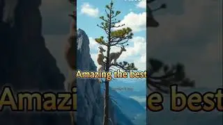 Amazing the best #shorts #leopard #eagleAdventure #cliffside Rescue #goatclimbing