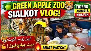 Green Apple Zoo Sialkot Vlog 🐯 | Tigers Animals Kids Entertainment Rajab Butt Challenge Jan 20 2026