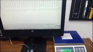 CONFIGURACION TRANSMISION DATOS RS232 A PC N BALANZA FENIX TRUMAX GRUPOMILLIGRAM