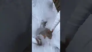 #animalrescue #wildlife #jesuschrist #frozenrescue #squirrel #inspirejoy #winter #loveuponjesus