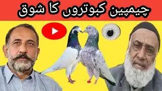 Ustad Raja Iftikhar kaka of Jhelum ki chat se pigeons