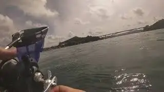 IT SURFED THE SURFACE!! ( Giant Eagle Ray Catch & Release )