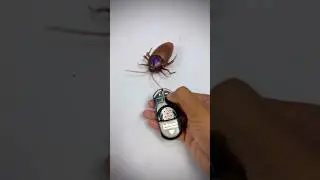 ELECTROPRIME Cockroach