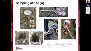 Impact of Legacy Nitrogen on Nutrient Removal for Onsite Wastewater Treatment