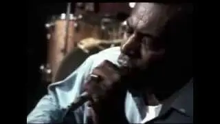 Howlin' Wolf - Evil (vivo)